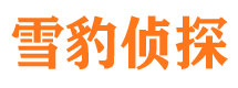 萨尔图寻人公司